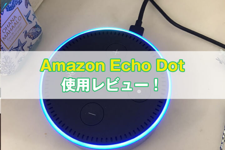 Amazon Echo Dot レビュー
