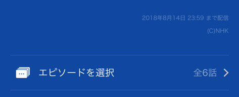 ワールドカップ見逃し配信はエピソードにある