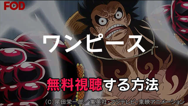 最新 無料 動画 ワンピース ワンピース【無料動画】971話「いざ討ち入り！おでんと赤鞘九人男」