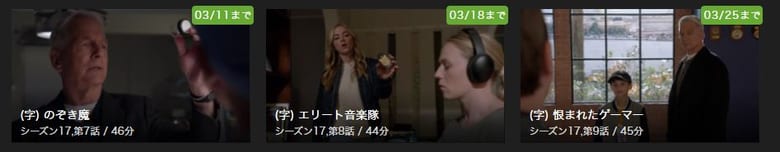 NCISの動画配信