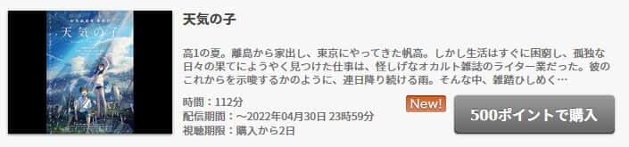 天気の子の動画配信