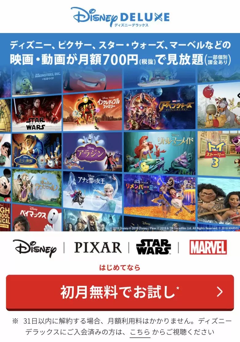 ディズニーデラックスの申し込み画面